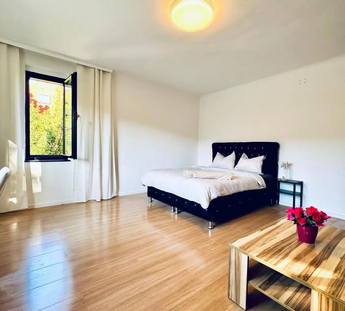 Apartment Spacious 6Br Shared Villa With Garden Near Danube For 16 Guests Vienna