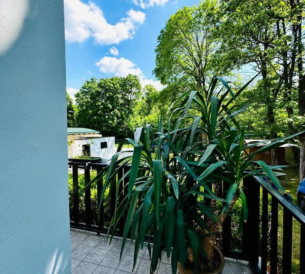 Apartment Spacious 6Br Shared Villa With Garden Near Danube For 16 Guests Vienna